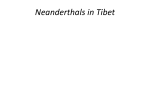 Neanderthals in Tibet