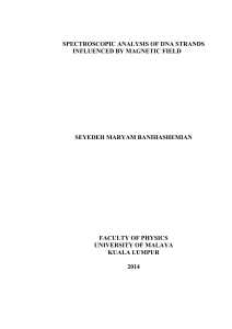 spectroscopic analysis of dna strands influenced by magnetic field