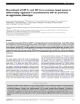 Recruitment of HIF-1a and HIF-2a to common target genes is