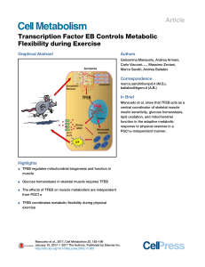 Transcription Factor EB Controls Metabolic Flexibility during