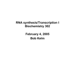 RNA synthesis/Transcription I Biochemistry 302
