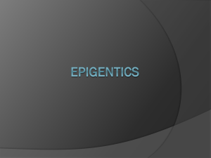 epigenome