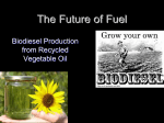 Science in Schools: presentation slides on biodiesel