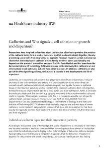 Cadherins and Wnt signals – cell adhesion or growth and dispersion?