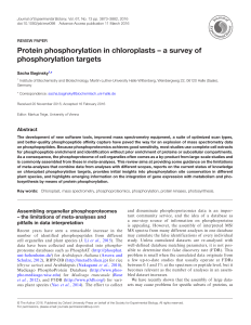 Protein phosphorylation in chloroplasts – a survey of
