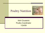 Poultry Nutrition - The University of Arizona Extension