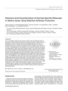 Detection and characterization of gamete‐specific molecules in