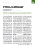 Modulation of CTCF Insulator Function by