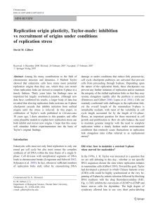Replication origin plasticity, Taylor-made: inhibition vs