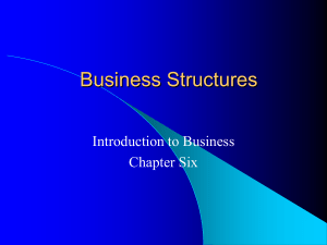 Business Structures