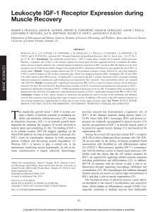 Leukocyte IGF-1 Receptor Expression during Muscle Recovery