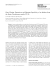 Gene Cloning, Expression, and Substrate Specificity of an Imidase