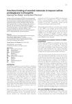 Functional binding of secreted molecules to heparan sulfate