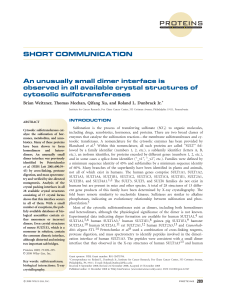 An unusually small dimer interface is observed in all available