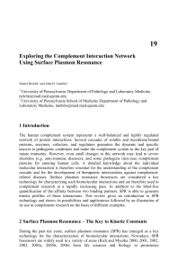Exploring the Complement Interaction Network