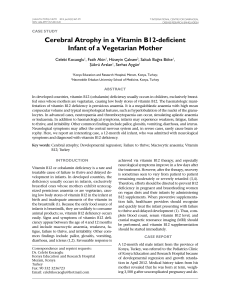 Cerebral Atrophy in a Vitamin B12-deficient Infant of a Vegetarian
