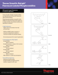 Thermo Scientific NuLight® Fluorescent Labeled Phosphoramidites