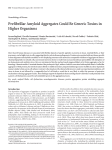 Prefibrillar Amyloid Aggregates Could Be Generic Toxins in Higher