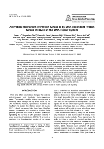 Activation Mechanism of Protein Kinase B by DNA