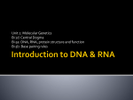DNA/RNA structure