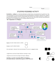 Name Period ______ STUDYING PEDIGREES ACTIVITY
