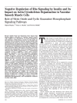 Negative Regulation of Rho Signaling by Insulin and Its