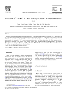 Effect of Ca on H -ATPase activity of plasma membrane in