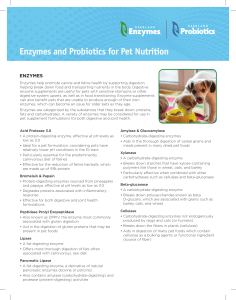 Enzymes and Probiotics for Pet Nutrition