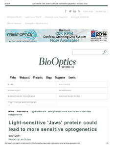 Light-sensitive `Jaws` protein could lead to more sensitive optogenetics