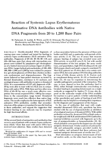 Reaction of Systemic Lupus Erythematosus Antinative DNA