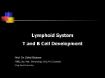 02. Lymphoid System lecture2010-10-01 03:421.2 MB