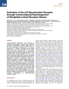 Activation of the p75 Neurotrophin Receptor through Conformational