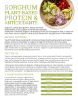 sorghum protein - Simply Sorghum