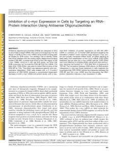 Inhibition of c-myc Expression in Cells by Targeting an RNA