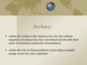 Archaea