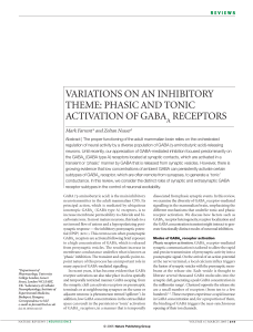 phasic and tonic activation of gaba receptors - LIRA-Lab