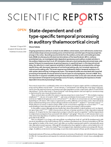 State-dependent and cell type-specific temporal processing in