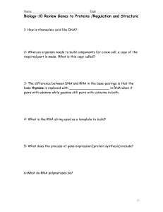 1: How is ribonucleic acid like DNA