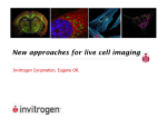 New approaches for live cell imaging