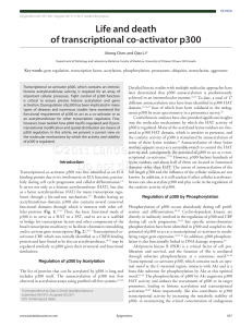 Life and death of transcriptional co