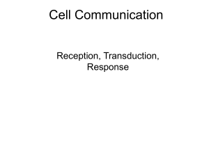 AP Cell Signaling