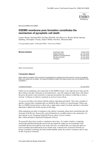 GSDMD membrane pore formation constitutes