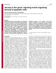 signaling events regulating removal of apoptotic cells