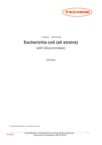 Escherichia coli