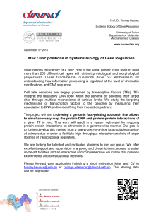 MSc / BSc positions in Systems Biology of Gene Regulation