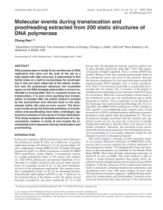 Molecular events during translocation and proofreading extracted