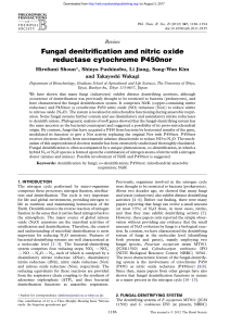 Fungal denitrification and nitric oxide reductase cytochrome P450nor