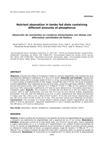 Nutrient absorption in lambs fed diets containing different amounts