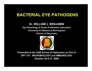 bacterial eye pathogens - UAB School of Optometry