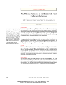ABCA3 Gene Mutations in Newborns with Fatal